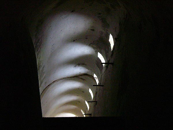 28153516.jpg