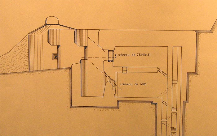Untitled-1 copy.jpg
