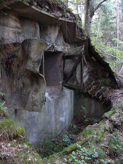 Untitled-10 copy.jpg
