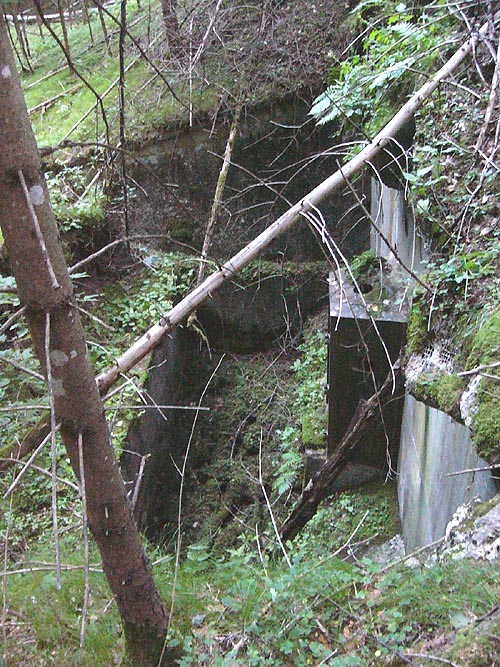 Untitled-12 copy.jpg