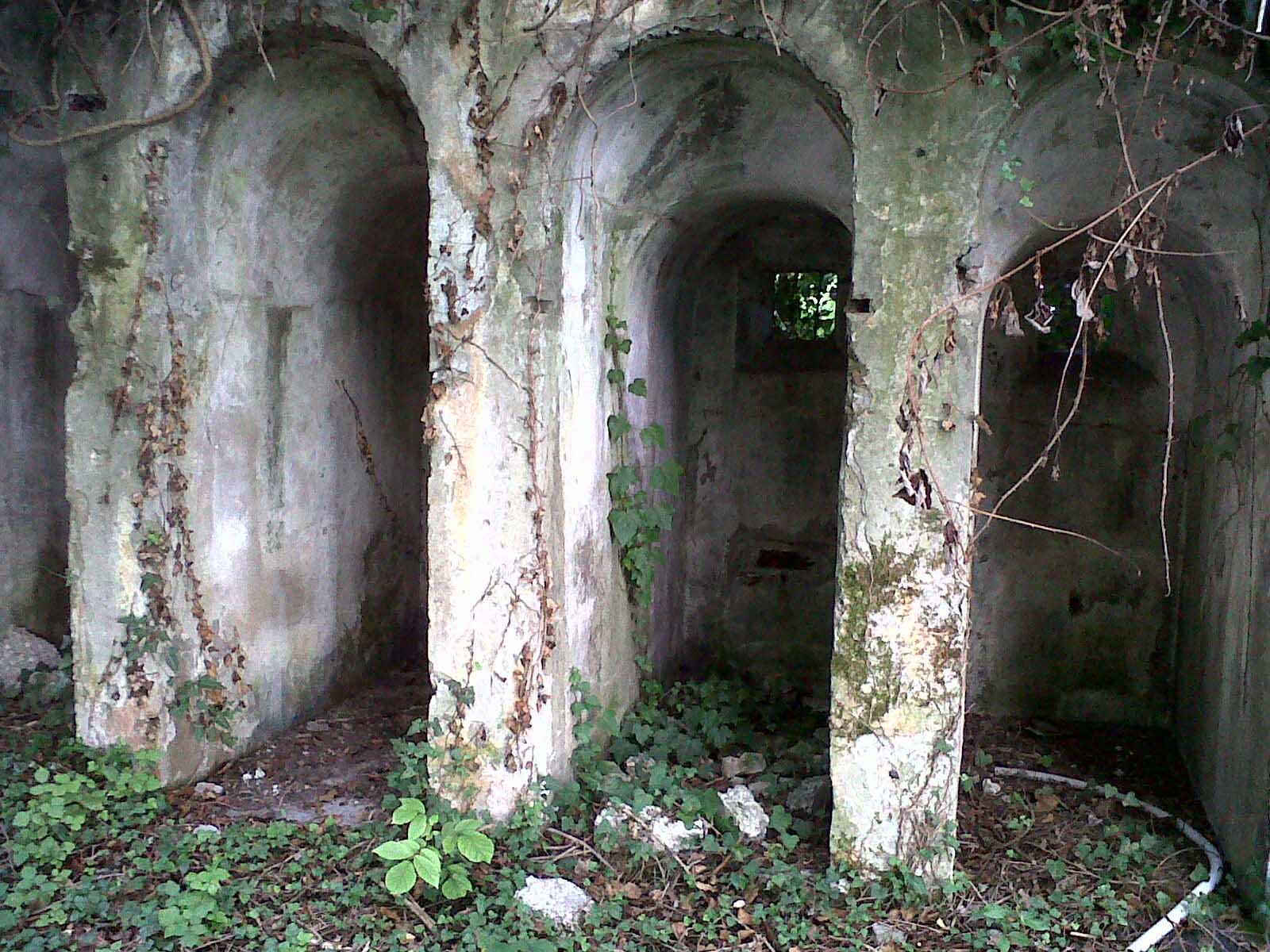 IMG00001-20100807-1846.jpg
