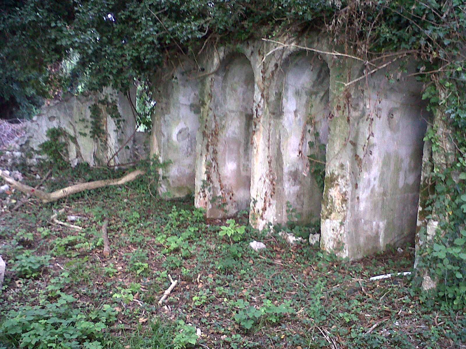 IMG00002-20100807-1846.jpg