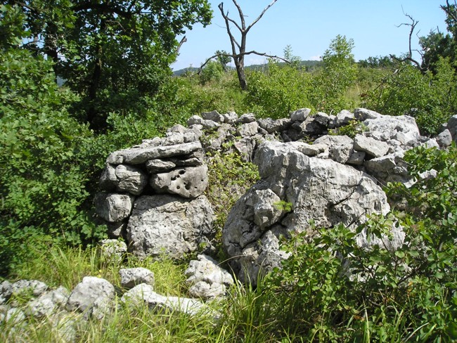 03 P1010005.jpg