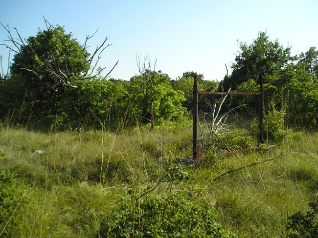 04 P1010008.jpg