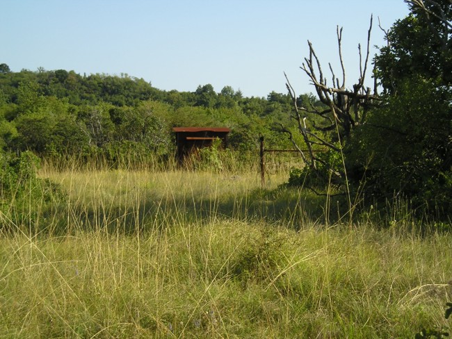 05 P1010009.jpg