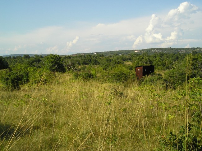 06 P1010012.jpg