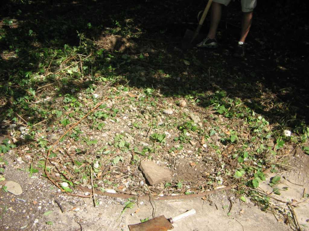 IMG_02782.jpg