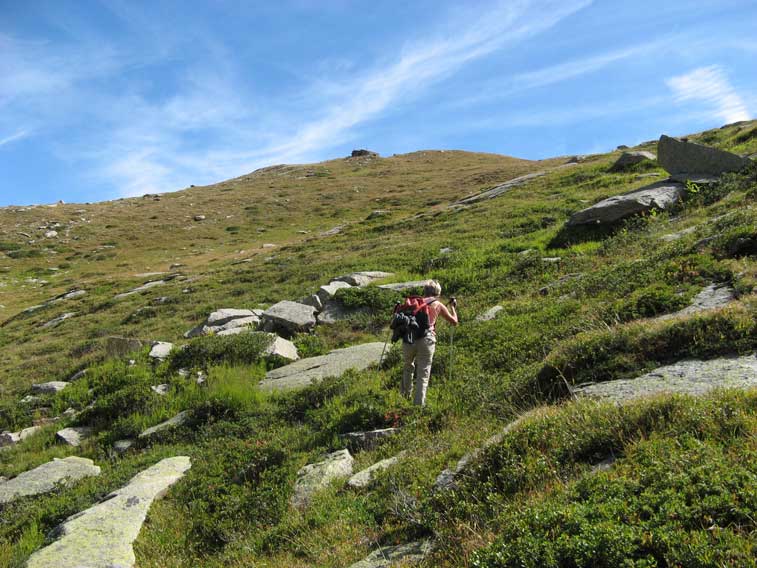 Abbiamo oltrepassato l'Alpe Cernera e procediamo a vista verso la 76 ormai visibile in alto