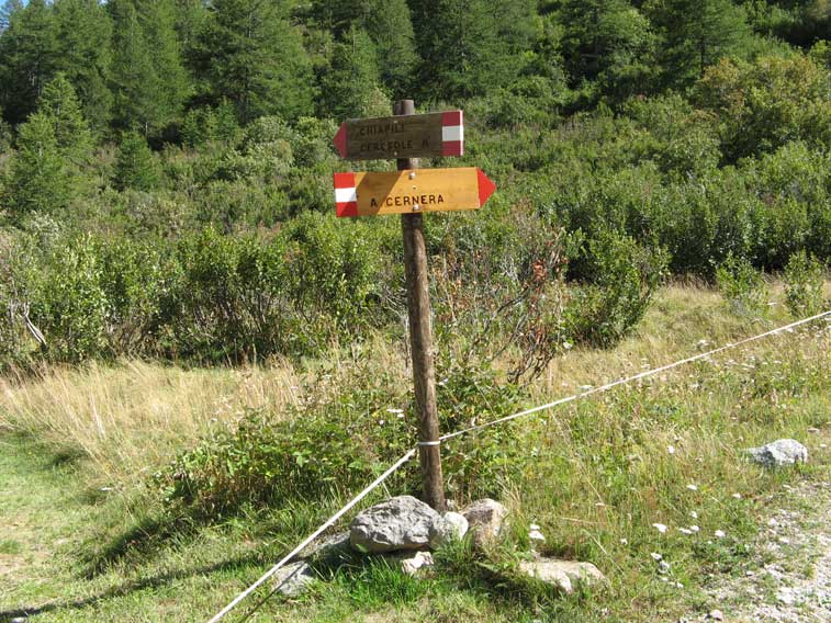 Il cartello Alpe Cernera ci indica che siamo sulla stradfa giusta