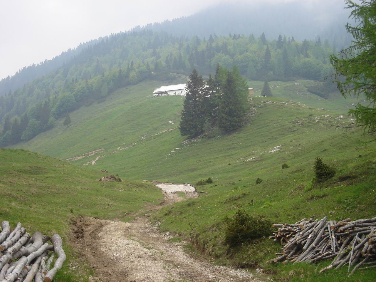Visione salendo dalla Val Saisera