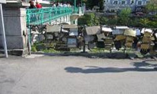 Immagine 003.jpg