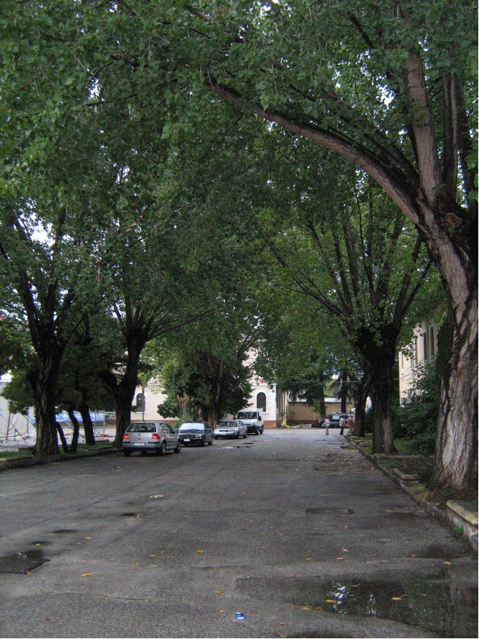 33_IMG_2819 [Risoluzione del desktop].JPG