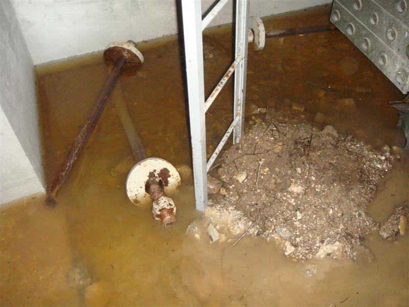 qSC04680.JPG