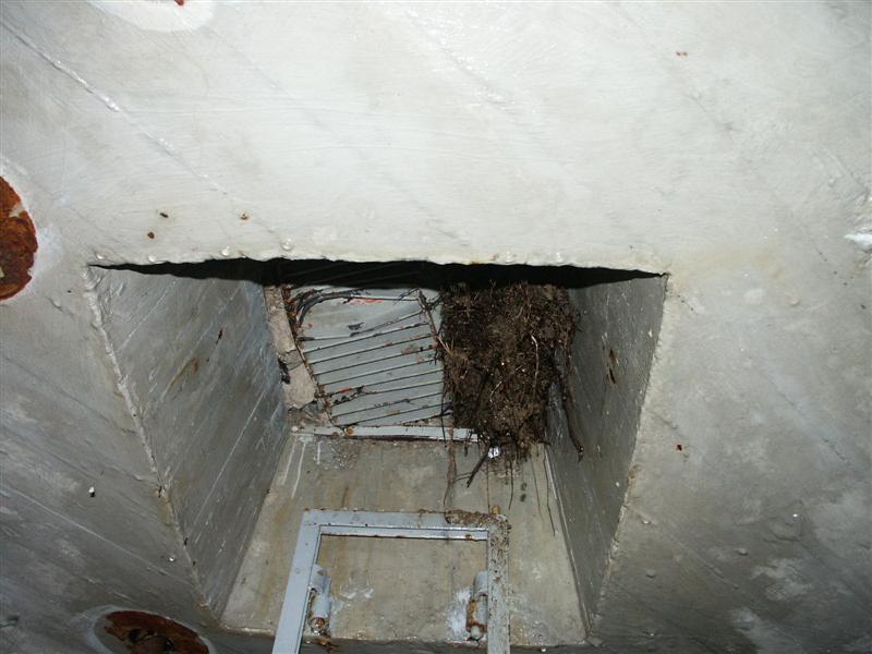 PICT1893.JPG