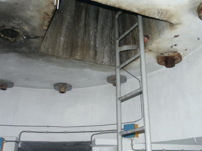 PICT1661.JPG