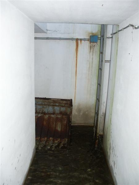 PICT1731.JPG