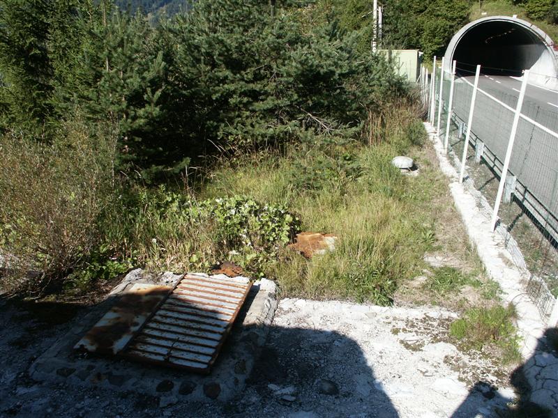PICT1737.JPG