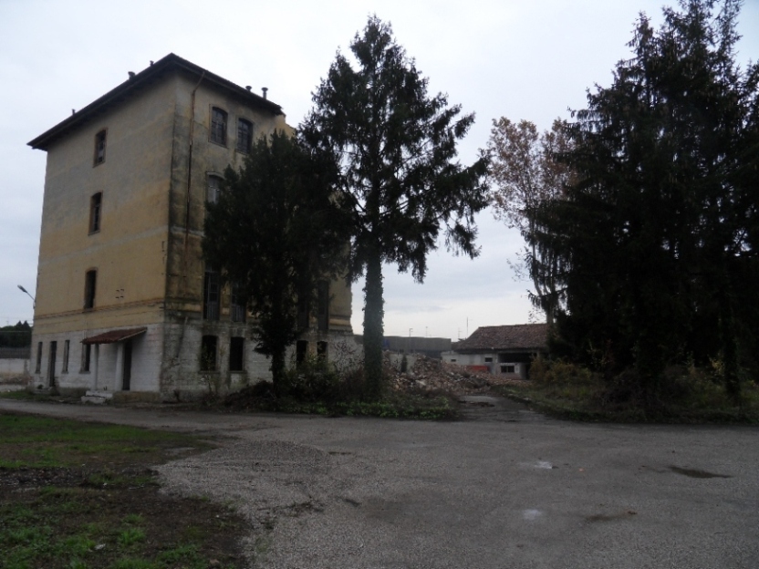 SDC16687.JPG