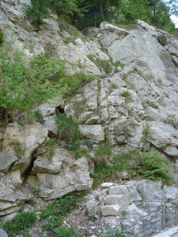 ferrata.jpg