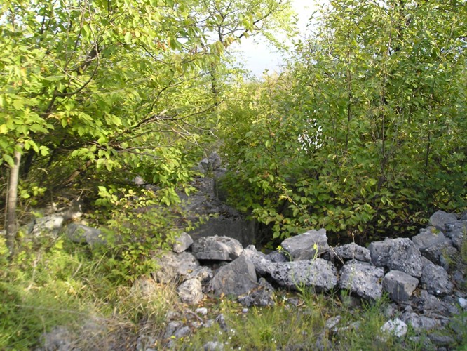 Risalito velocemente alla superficie per non sentire le maledizioni di un pipistrello al quale avevo disturbato la digestione, sono sceso verso Iamiano per la larga carrareccia, dopo un centinaio di metri sul pendio soprastante dei muri in cemento hanno attirato la mia attenzione: