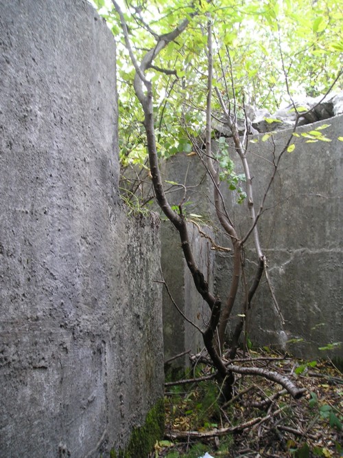 Che attraverso uno stretto passaggio . . .