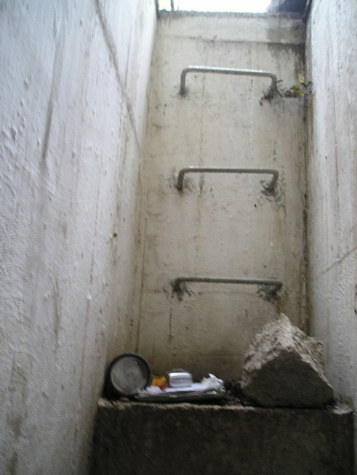 . . . che per alcuni gradini . . .