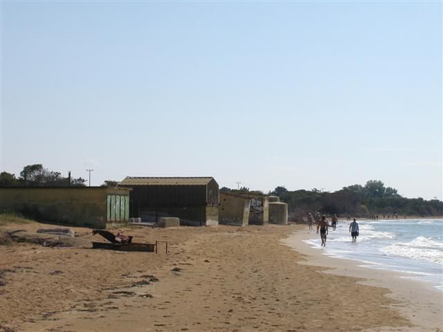 2006