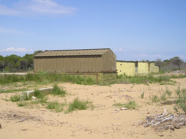2004
