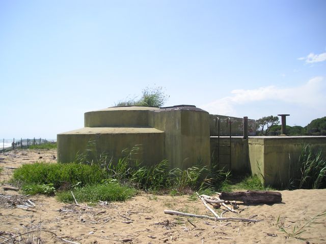 2004
