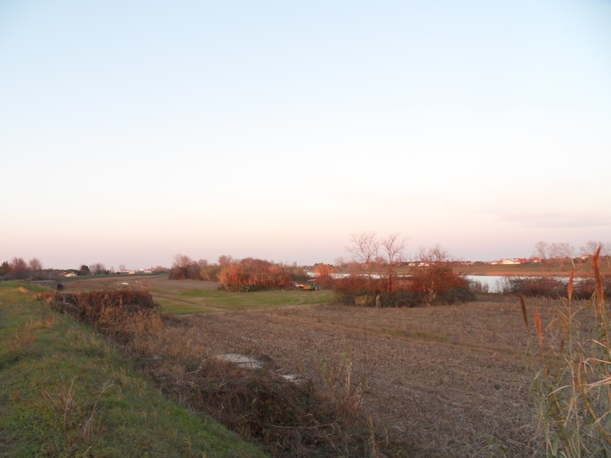 Vista dall'argine