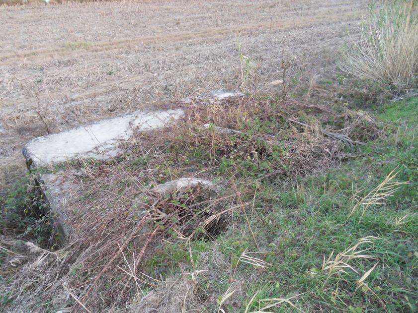 Particolare bunker a ridosso dell'argine