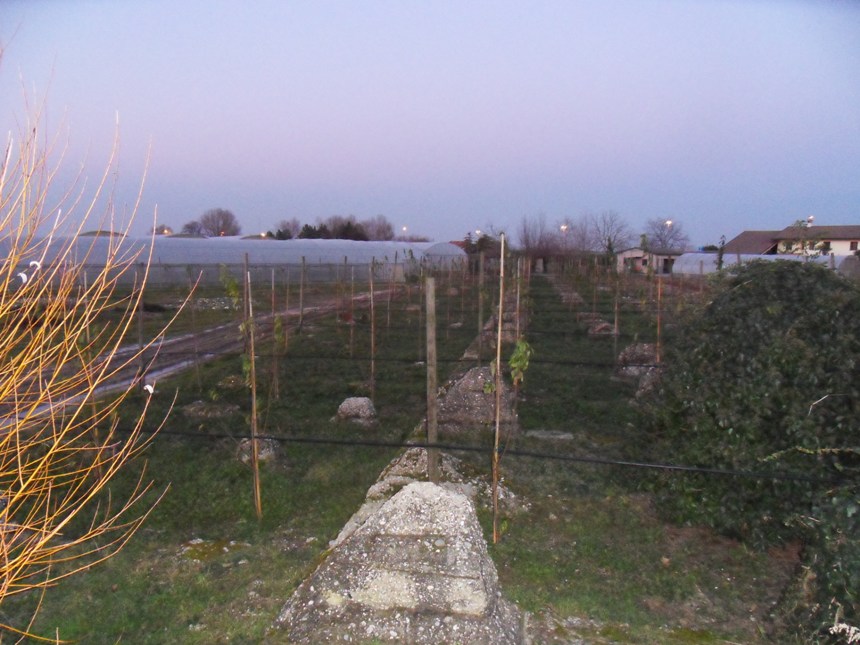 SDC16974.JPG