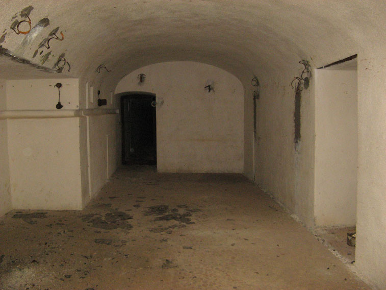 Il Ricovero