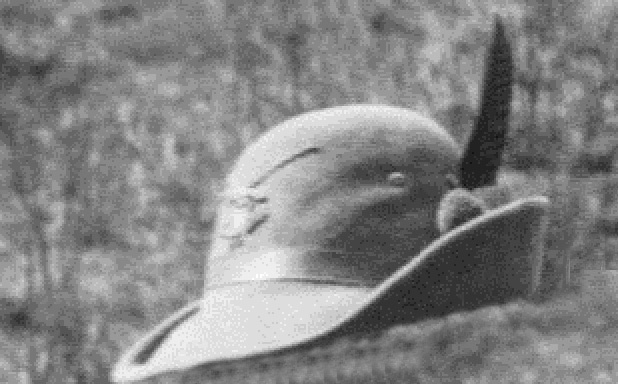 CAPALP2.jpg