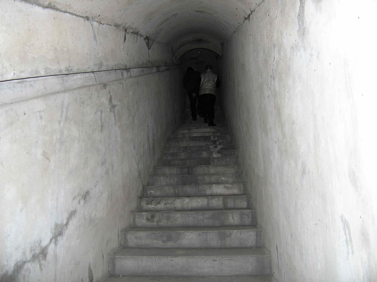 P1233353.jpg