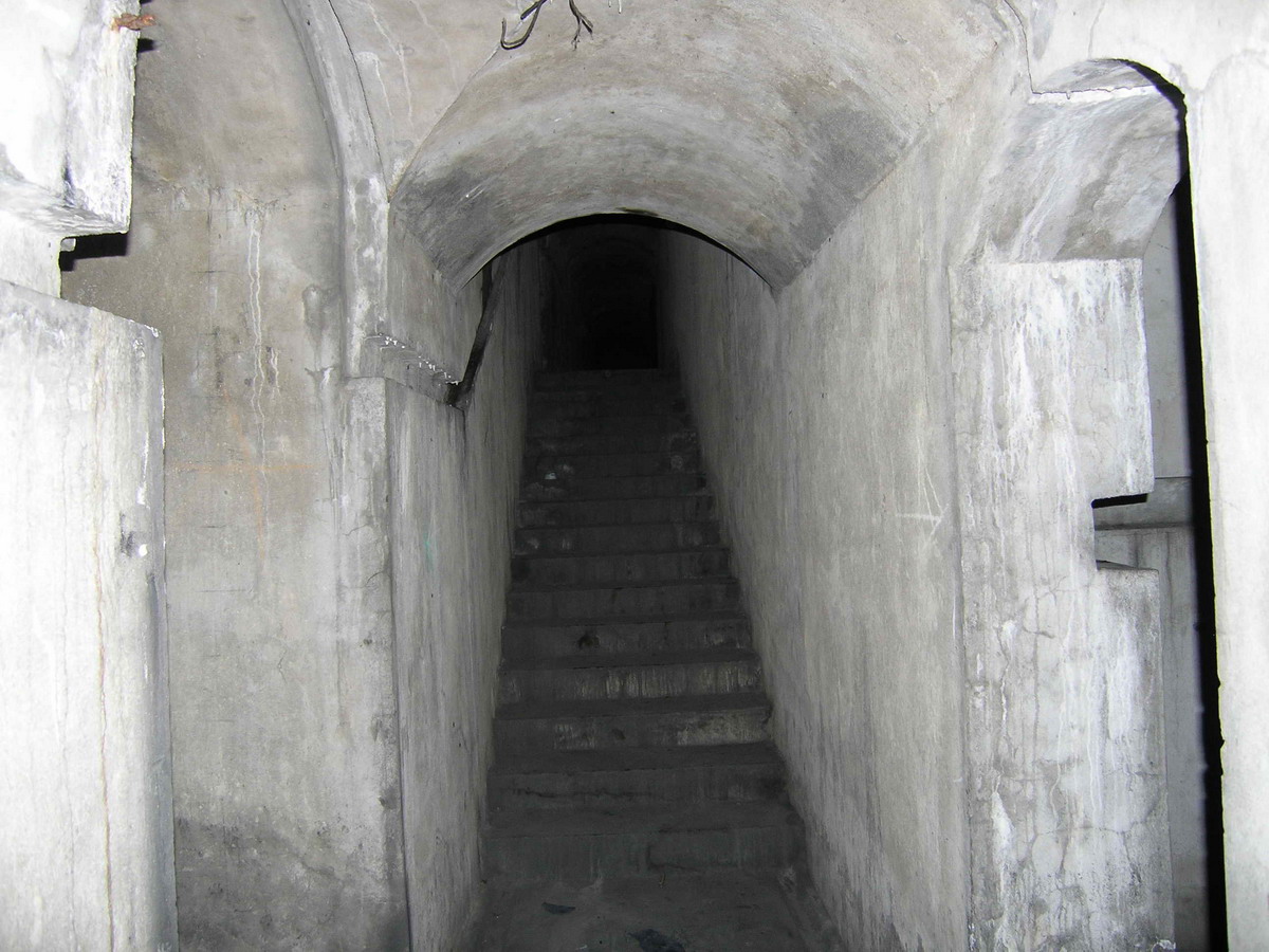 P1233345rr.jpg
