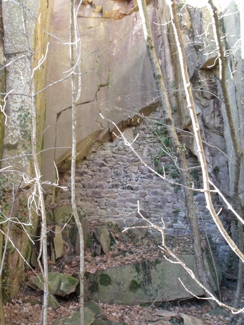 DSCF8830.JPG