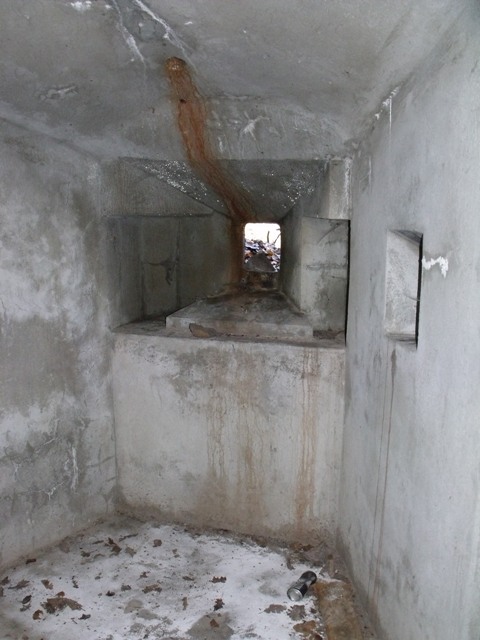 DSCF8799.JPG