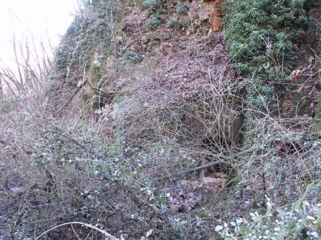 DSCF8793.JPG