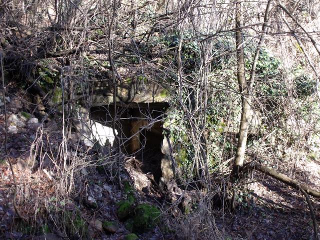DSCF8774.JPG