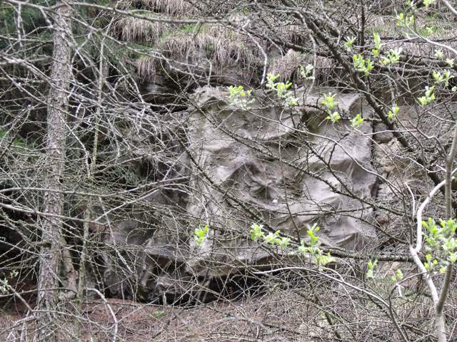 DSCF2317.JPG
