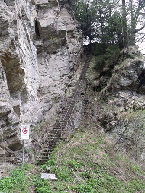 DSCF2248.JPG