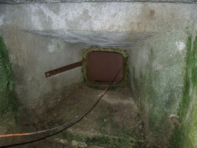 DSCF2421.JPG
