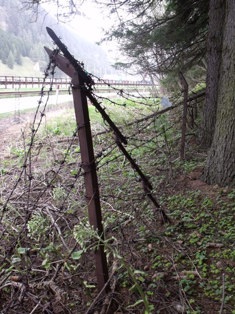 DSCF2412.JPG