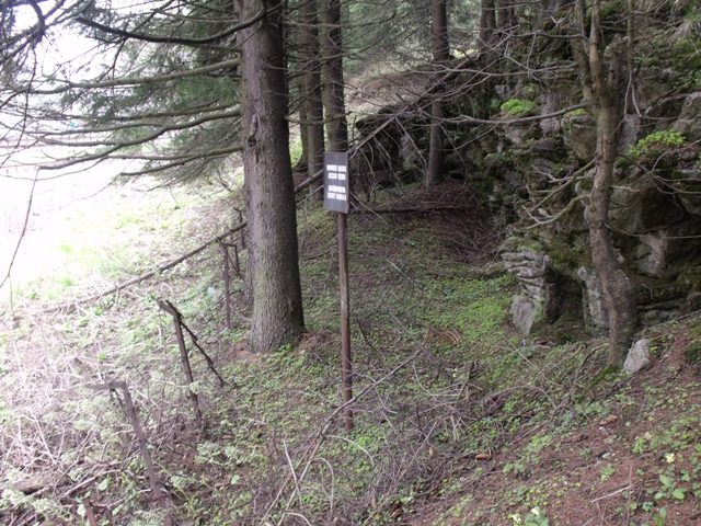DSCF2410.JPG