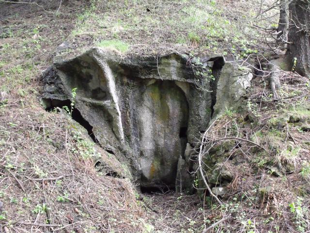 DSCF2380.JPG