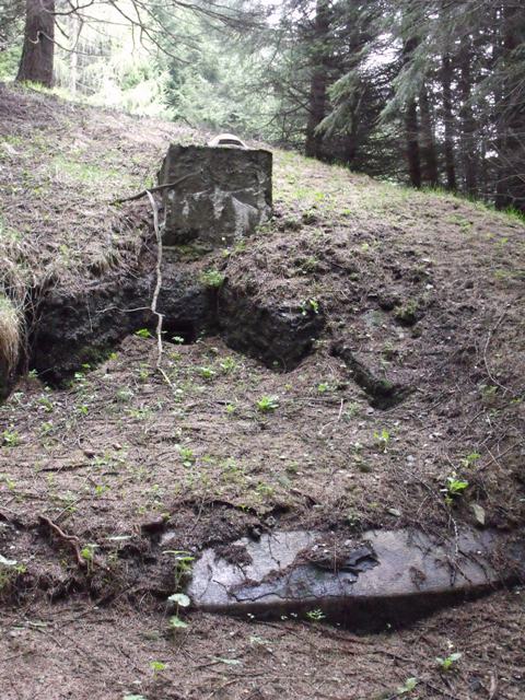 DSCF2378.JPG