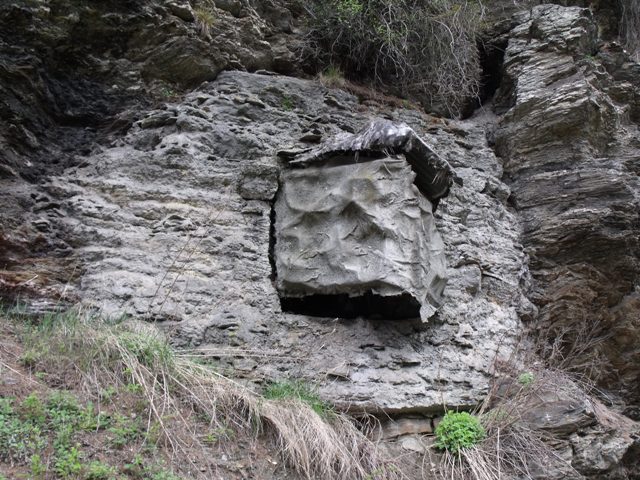 DSCF2239.JPG