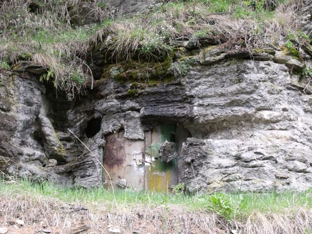DSCF2238.JPG