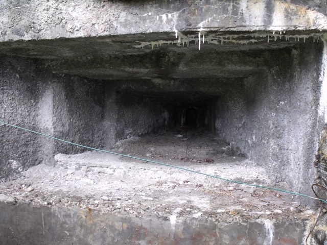 DSCF2402.JPG